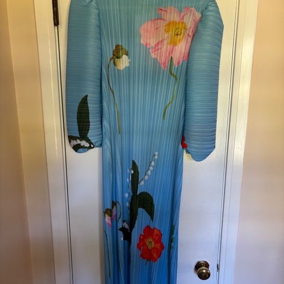 Nancy Yang Crinkled Puff Sleeve Dress NWT - Picture 2 of 8